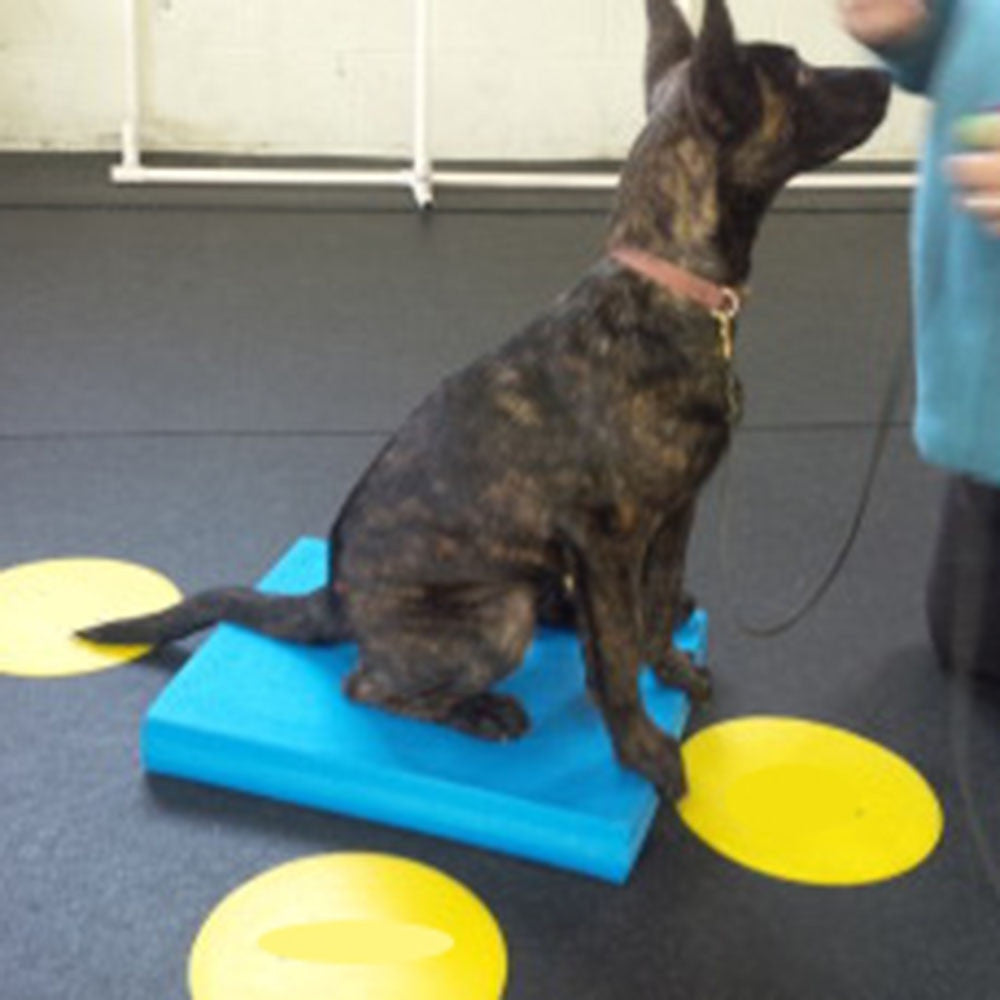 Pet-Specific Balance Ladder Soft Tread-4