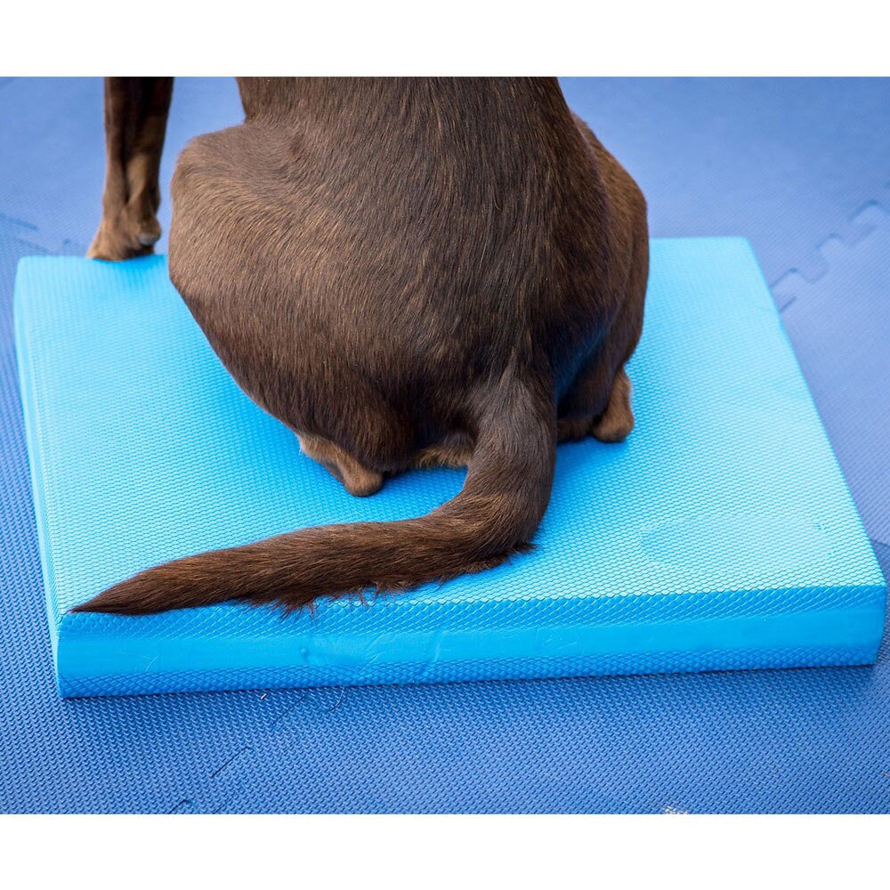 Pet-Specific Balance Ladder Soft Tread-3