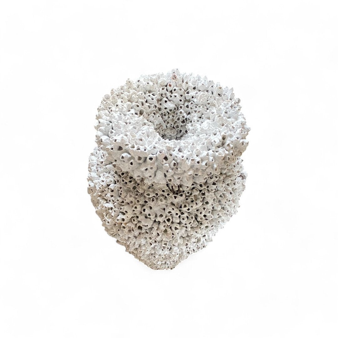 Coastal Charm Pottery-1