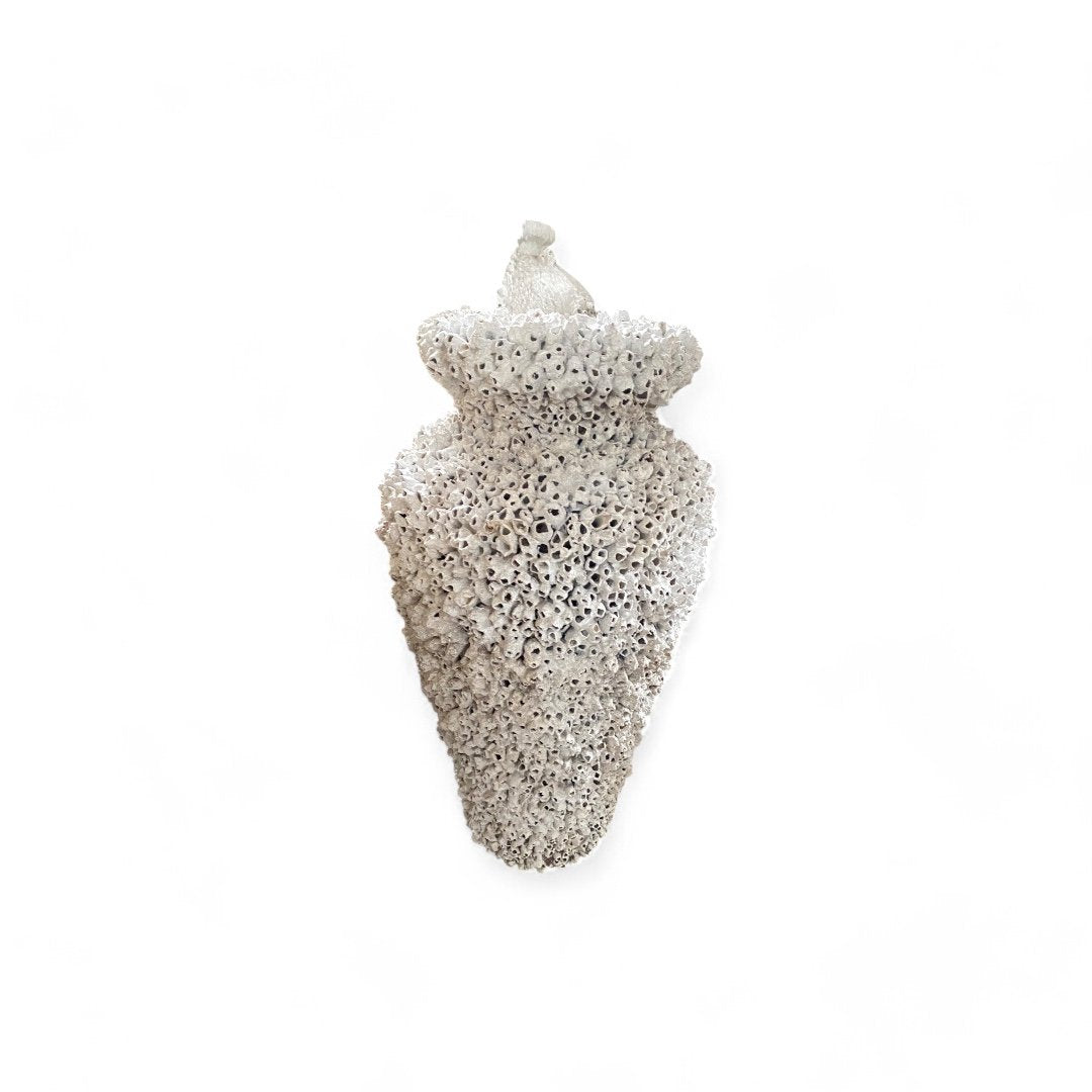 Coastal Charm Pottery-2